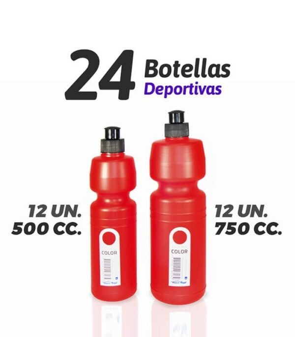 Combo de 24 botellas