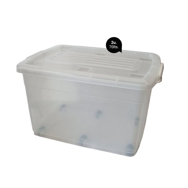 BOX TRANSPARENTE 70 LTS x2